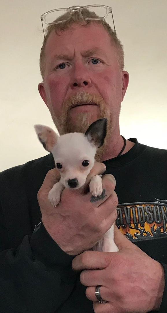 Peanut with his favorite toy